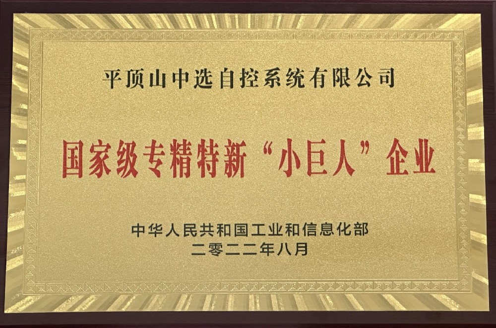 國家級專(zhuān)精特新“小巨人”企業(yè)